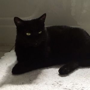 Meet your Posher, Kelly